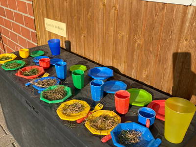 Bild 19 aus  Ferienhof Westermann