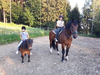 Bild 12 aus  Ferienhof Pauli