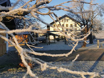 Bild 7 aus  Frankhof