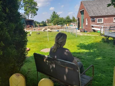Bild 2 aus  Hof Janssen