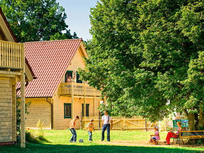 Bild 2 aus  Kleine Viecherei