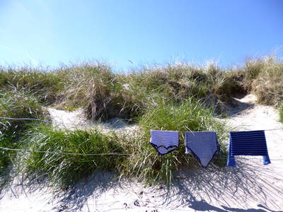 Bild 25 aus  Ferienbauernhof Mau