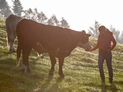 Bio-Rinderhaltung am Jörgnerhof - Stelza Nature Chalet