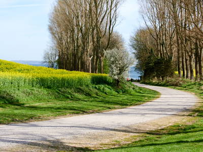 Bild 14 aus  Elsas Enkel Ostseeurlaub