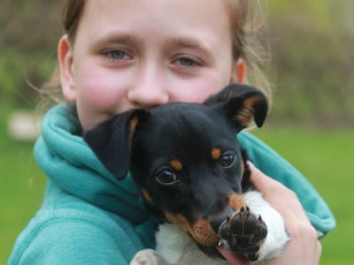 Bild 28 aus  Ferienhof Meetz