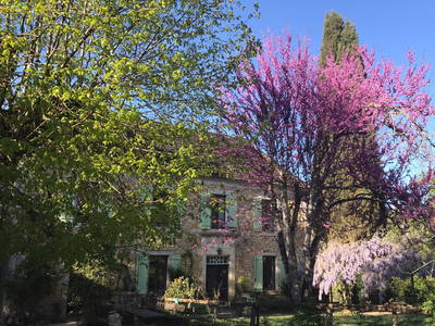 Das Haupthaus - Le Colombié