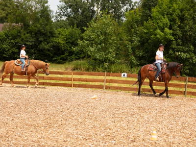 Bild 28 aus  Hof in Liebesdorf