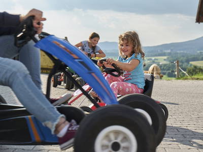Bild 11 aus  Urlaub am Schoffahanslof im Bayerischen Wald: Natur, Abenteuer & Erholung für die ganze Familie“