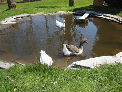 Bild 24 aus  Landhaus Rombach