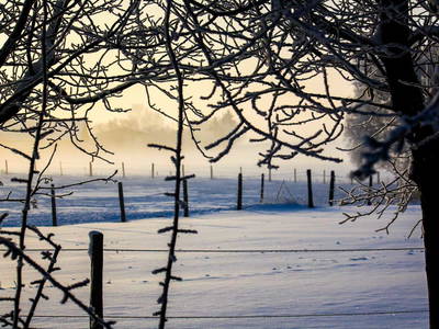 Bild 10 aus  Pferdehof Ruhnau FN