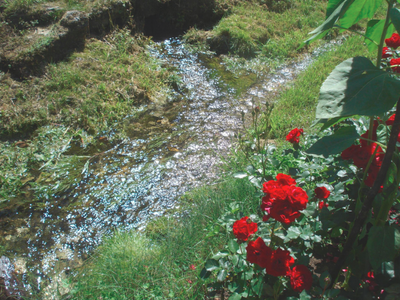 Bild 20 aus  Ferienhof Hohe - Familienfreundlicher Bio Bauernhof in idyllisch gelegenem Dorf.
