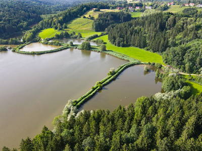 Bild 46 aus  Gut Hornegg