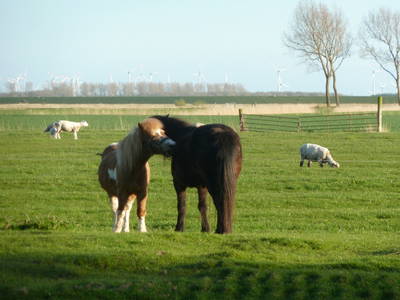 Bild 18 aus  Der Liethshof