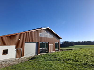 Bild 23 aus  Mojer Hof