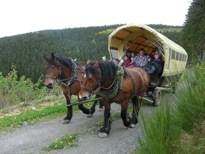 Bild 25 aus  Schellen Hof