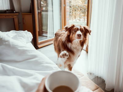 Bild 28 aus  Okelmann's - Eco Hotel & Apartement mitten im Norden