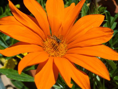 Bild 29 aus  Ferienhof Rasch