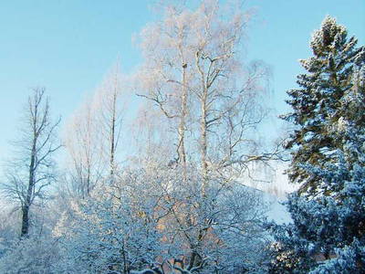 Bild 33 aus  Gut Hohenhain