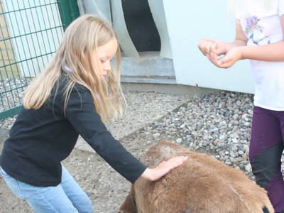 Bild 34 aus  Ostseeferienhof  Stoldt