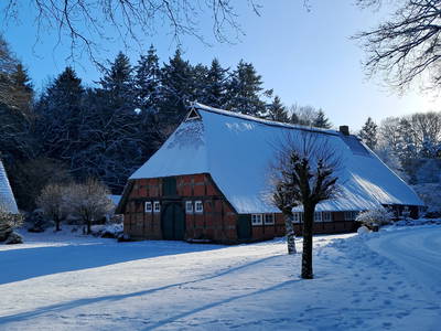 Bild 39 aus  Hof Höpen