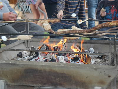 Bild 33 aus  LandSelection Grieshof