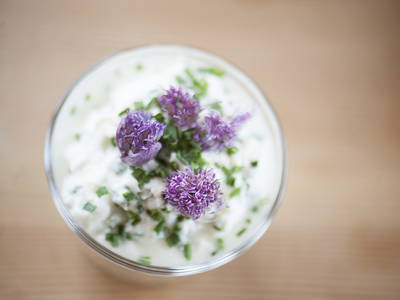 Bild 36 aus  Marschalkhof    Urlaub auf dem Bauernhof