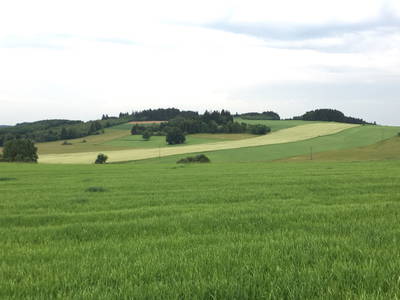 Bild 11 aus  Frankenwaldhof