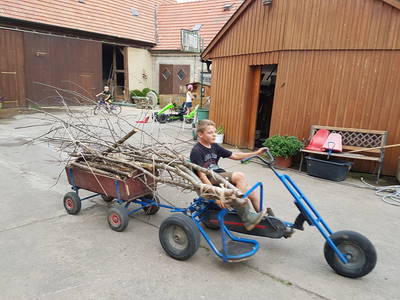 Bild 17 aus  Ferienbauernhof Storchenhäusle