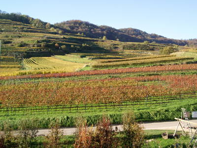 Bild 4 aus  Maienbrunnenhof