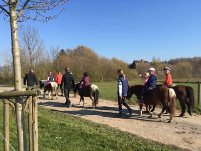Bild 25 aus  Ferienhof Sell Bauernhofurlaub Ostsee Ponys