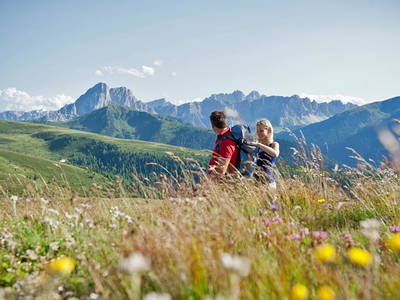 Bild 40 aus  Appartement Birkenhof - Urlaub mit Pferden und Alpakas