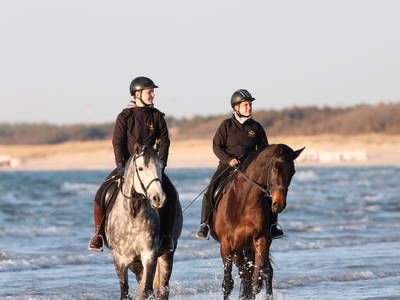 Bild 17 aus  Bernsteinreiter Hirschburg