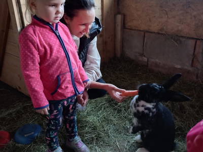 Bild 4 aus  Gmeinder's Landhaus