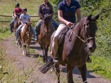 Bild 15 aus  LandSelection LANDGUT PFAUENHOF
