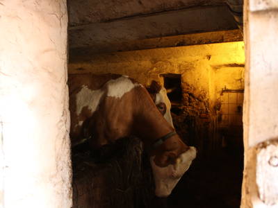 Bild 18 aus  Bauernhof Kieslinger