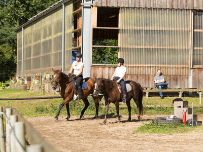 Bild 13 aus  Reiter- und Ferienhof Cohrs