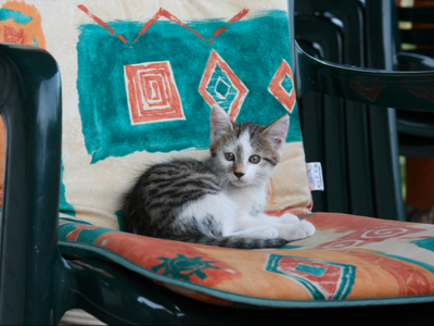 Bild 14 aus  Bierpeterhof