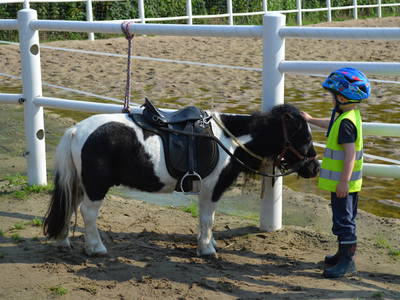 Bild 11 aus  Ferienhof Peter -  Ponys - streicheln, striegeln, füttern  -  Wattwanderungen + ganz viel Nordsee