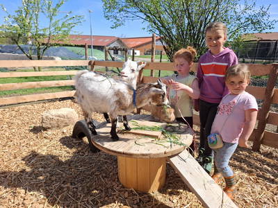 Bild 12 aus  Mojer Hof