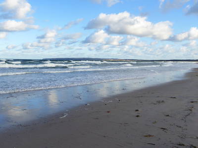 Bild 39 aus  Ferienhaus Gut Rattelvitz-INSEL RÜGEN