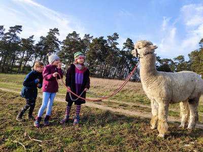 Bild 17 aus  Gut Pohnstorf