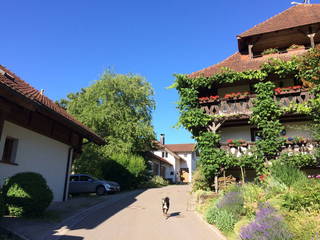 Martiburhof - Ferien auf dem Bauernhof aus Waldshut-Tiengen