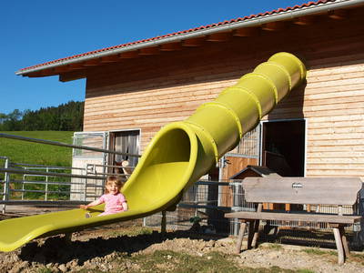 Bild 13 aus  Strublhof