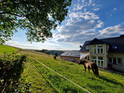 Blick auf das Ferienhaus II