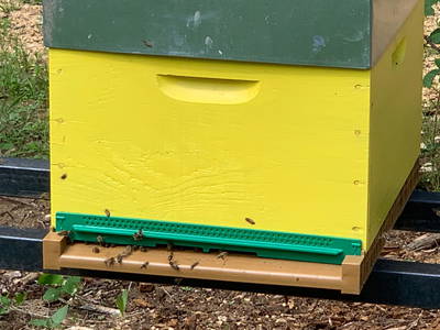 Bild 49 aus  Le Colombié - Ferienhäuser an der Dordogne mieten