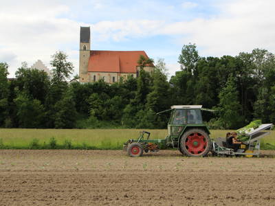 Bild 31 aus  Biohof Pürten