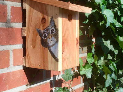 Bild 17 aus  SchleinersHof