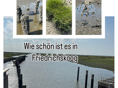 Bild 33 aus  Nordseeurlaub Söth