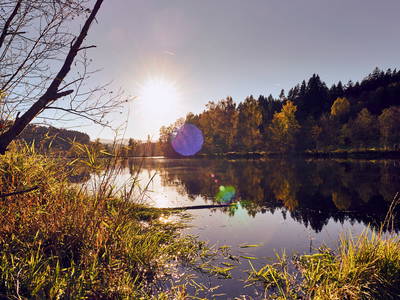 Bild 23 aus  Arber Lofts