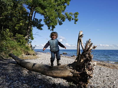 Bild 5 aus  Ferienhof Augustenhöhe